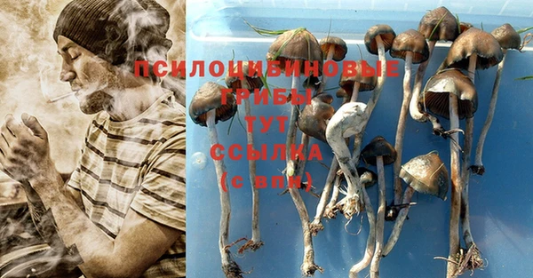 кокс Баксан