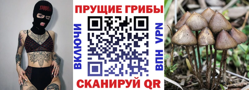 Псилоцибиновые грибы мухоморы  Крымск 
