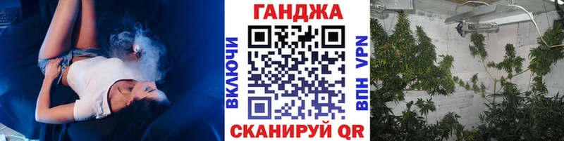 Каннабис OG Kush  Крымск 
